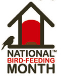 birdfeeding 2